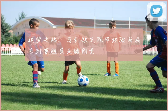 追梦之路：马刺缺乏冠军经验或成系列赛胜负关键因素